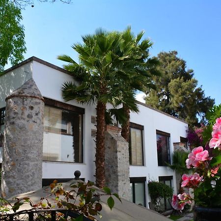 Hotel & Spa Dona Urraca San Miguel De Allende Exteriör bild