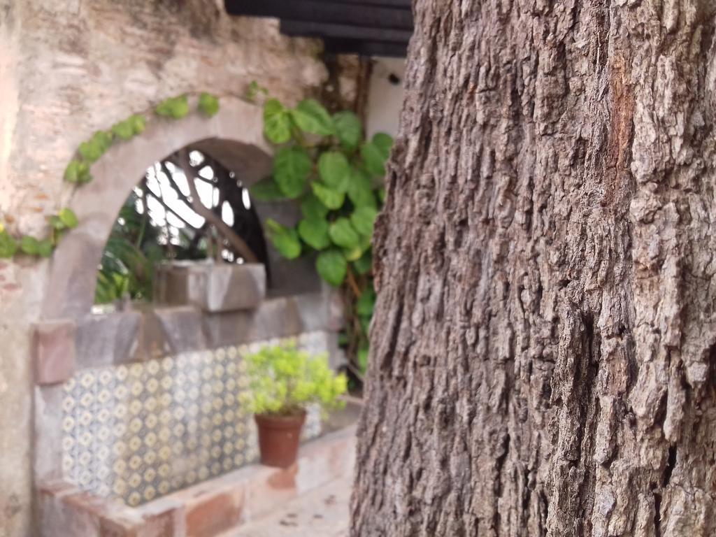 Hotel & Spa Dona Urraca San Miguel De Allende Exteriör bild