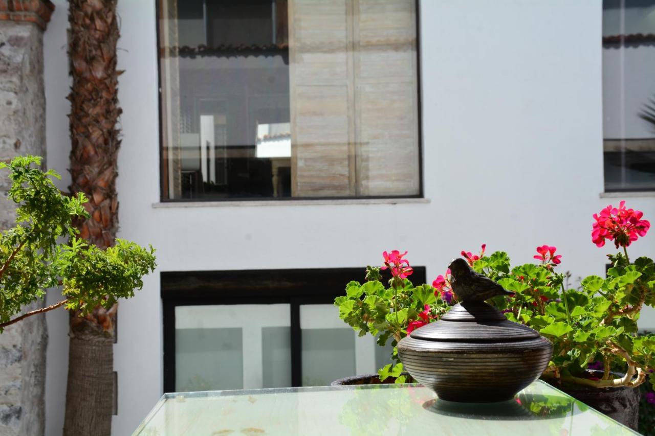 Hotel & Spa Dona Urraca San Miguel De Allende Exteriör bild