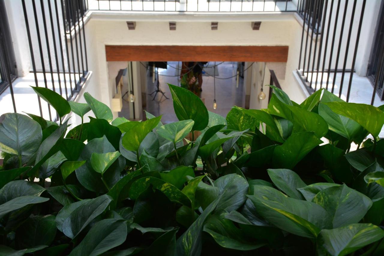 Hotel & Spa Dona Urraca San Miguel De Allende Exteriör bild